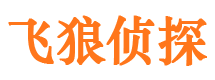 阜平市场调查